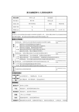 石油集团审计人员职务说明书