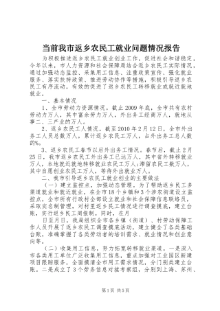 当前我市返乡农民工就业问题情况报告