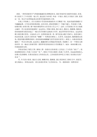 习作雪，冬天的使者