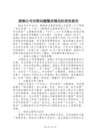 废钢公司对照问题整改情况阶段性报告