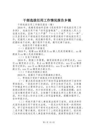 干部选拔任用工作情况报告乡镇