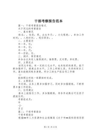 干部考察报告范本