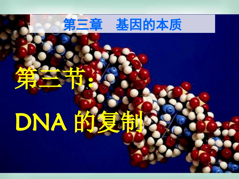 高中生物《33DNA的复制》课件新人教版必修2_第1页