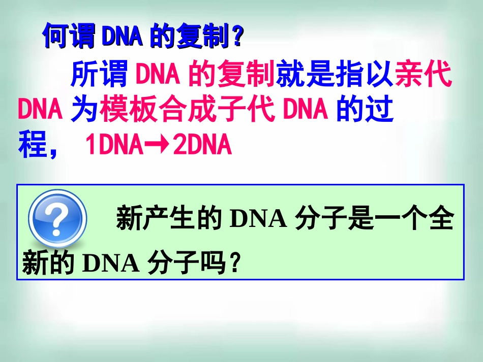 高中生物《33DNA的复制》课件新人教版必修2_第3页