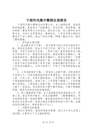 干部作风集中整顿自查报告