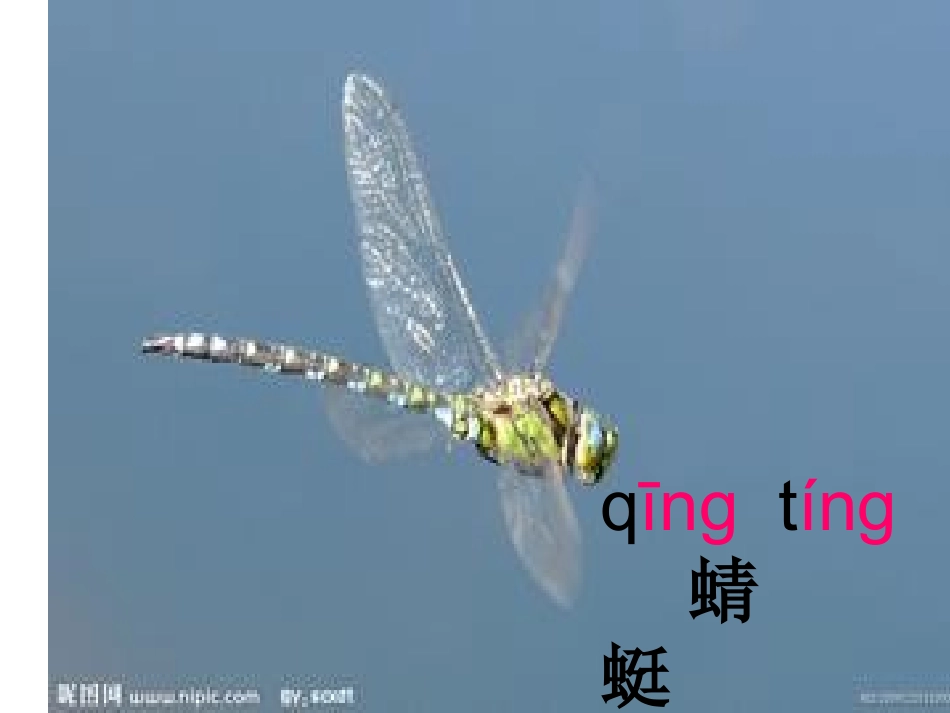 一年级下册语文识字四教学课件_第2页