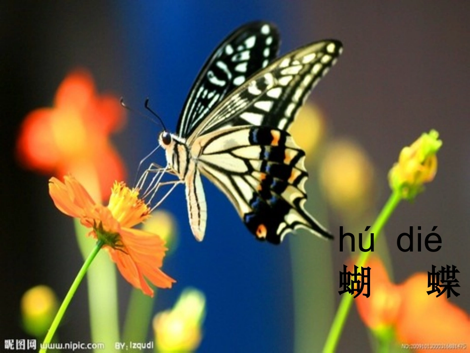 一年级下册语文识字四教学课件_第3页