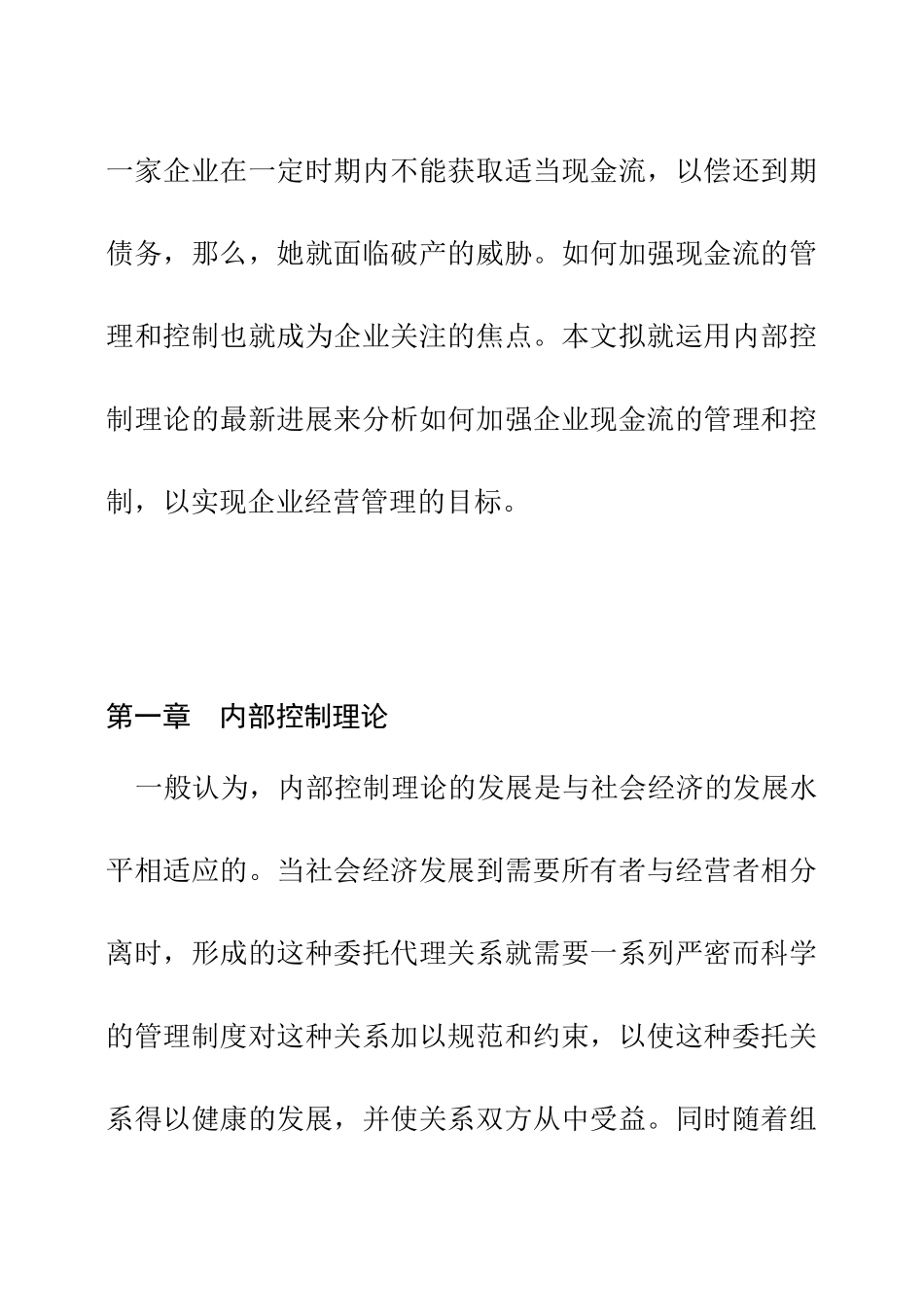 现金流的内部控制分析_第2页