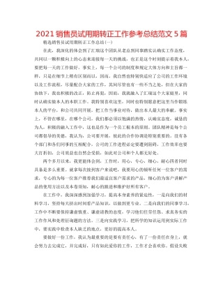 销售员试用期转正工作参考总结范文5篇