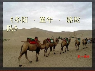 《冬阳·童年·骆驼队》课件（21页）