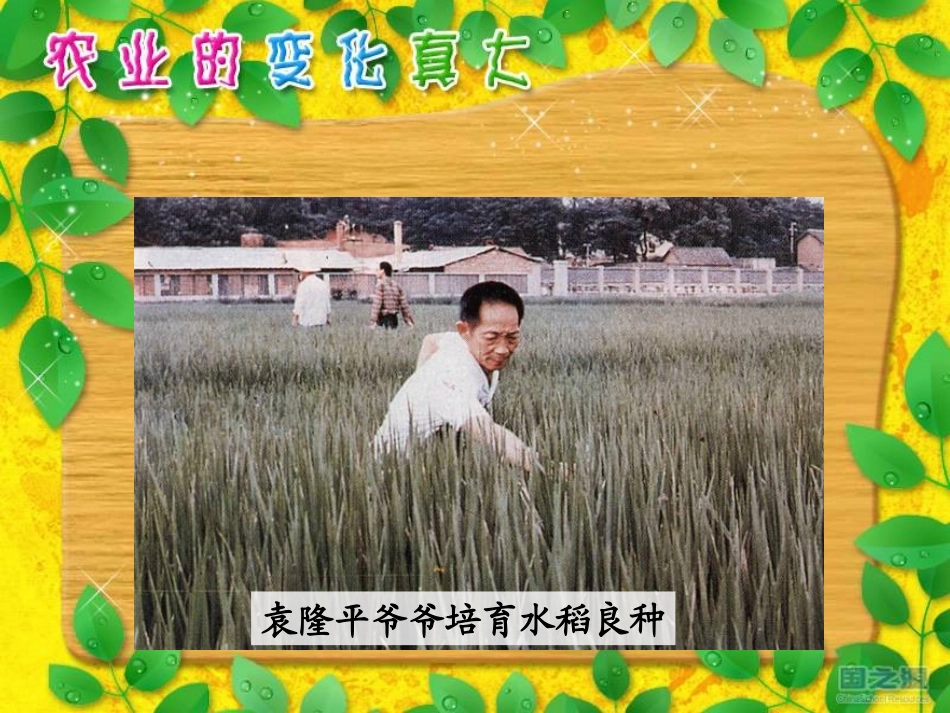 （上课用）农业的变化真大2_第2页