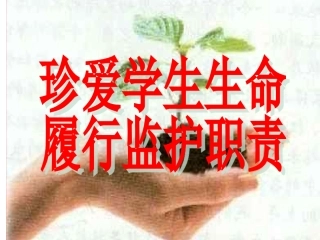 珍爱生命主题班会42