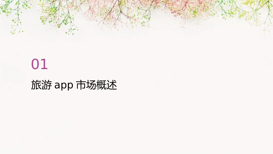 旅游APP项目策划方案课件_第3页