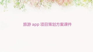 旅游APP项目策划方案课件