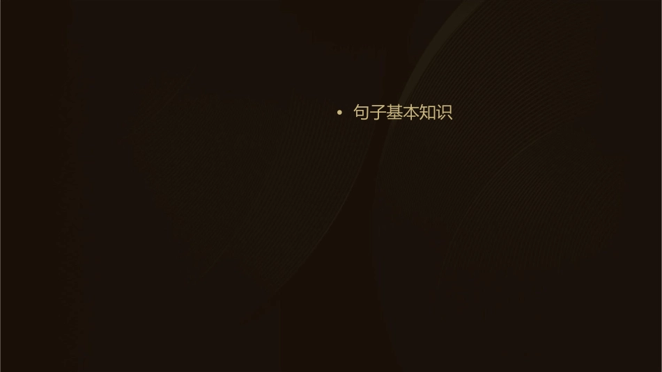 小升初复习之句子课件_第2页