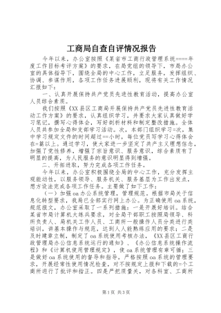 工商局自查自评情况报告