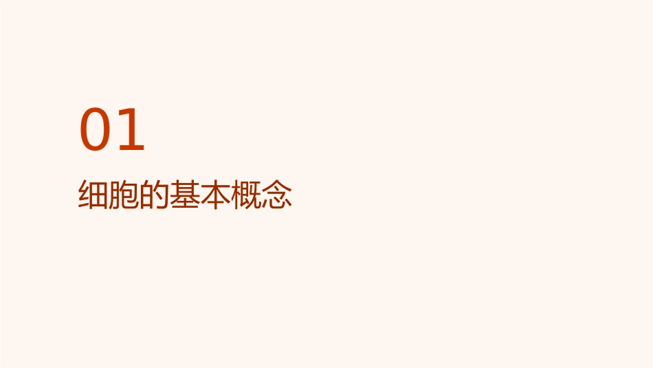 细胞和细胞间质课件_第3页