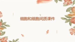 细胞和细胞间质课件