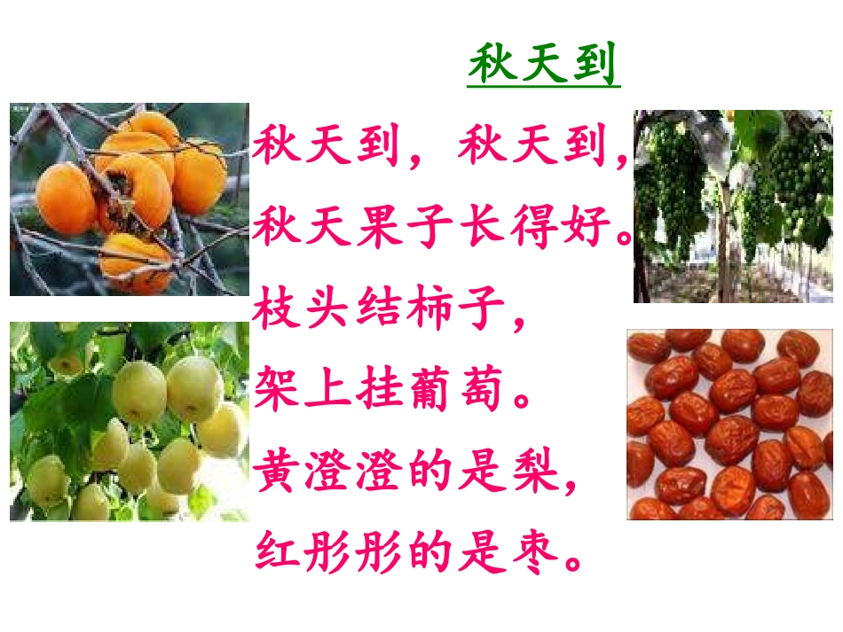 2014苏教版语文二年级上册《秋游》PPT_第2页