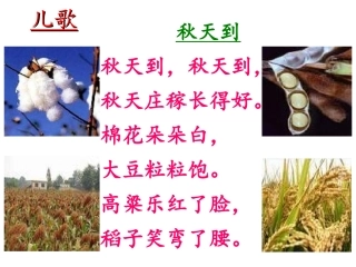 2014苏教版语文二年级上册《秋游》PPT
