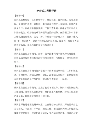 护士试工考核评语
