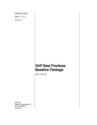 公司SAPBestPracticesBaselinePackage解决方案范围