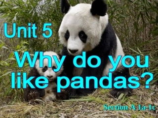 七下册马小兰《Unit_5_Why_do_you_like_pandas》