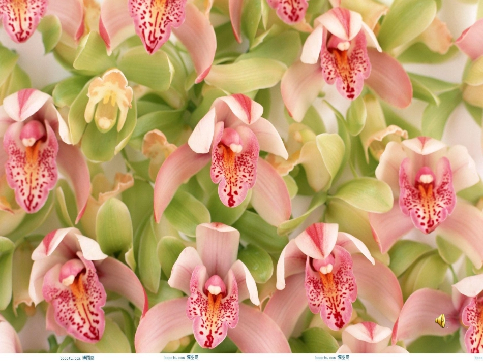 花钟_PPT课件_第2页