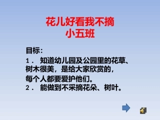 花儿好看我不摘课件
