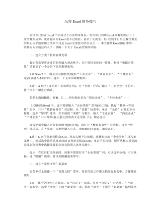 玩转Excel财务技巧