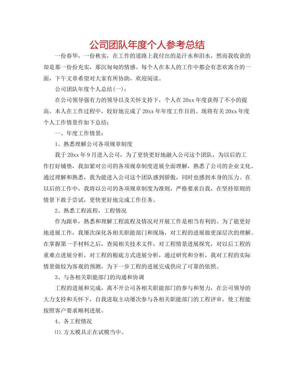 公司团队年度个人参考总结_第1页