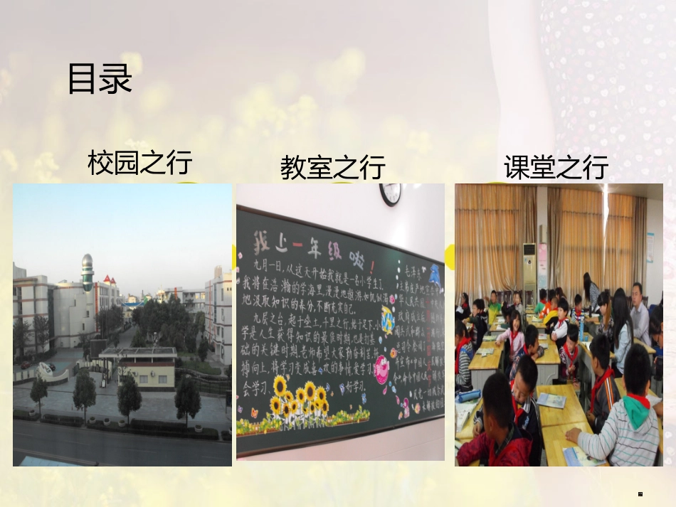 海安培训汇报材料_第2页