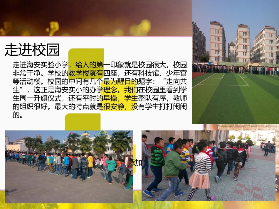 海安培训汇报材料_第3页