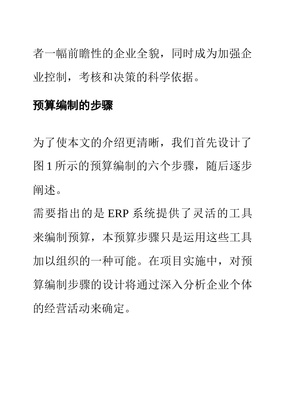 ERP中的企业预算（DOC12页）_第3页