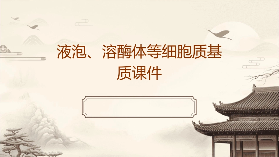 液泡溶酶体等细胞质基质课件_第1页