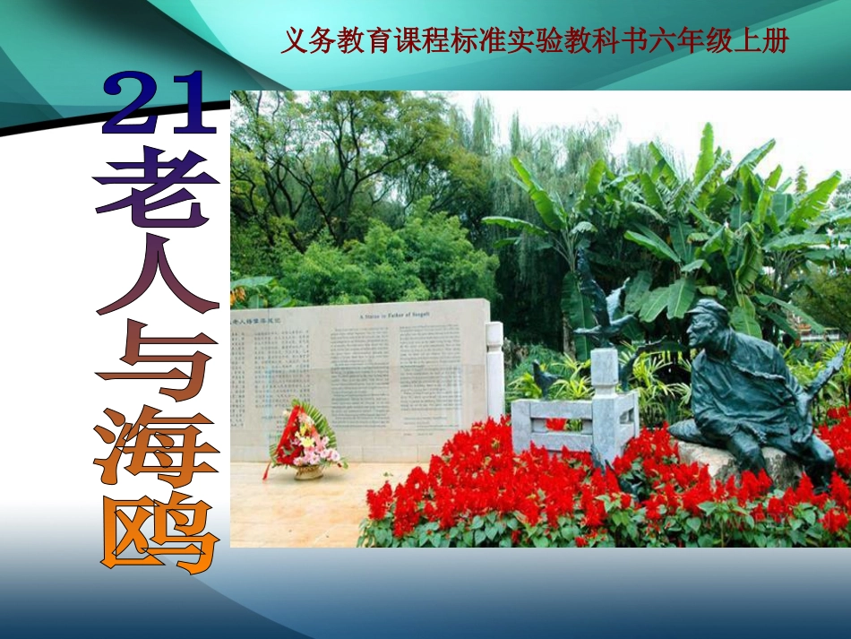 《老人与海鸥》课件 (2)_第1页