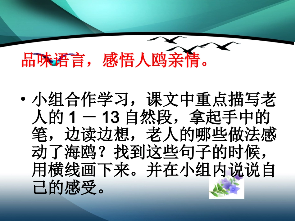 《老人与海鸥》课件 (2)_第3页
