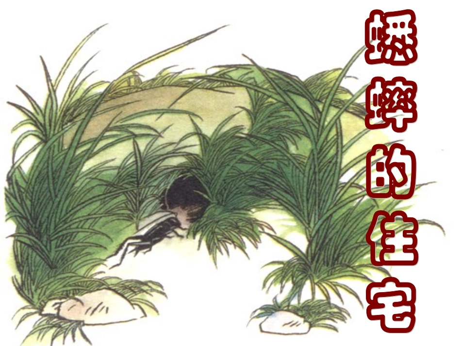 蟋蟀的住宅课件_第1页