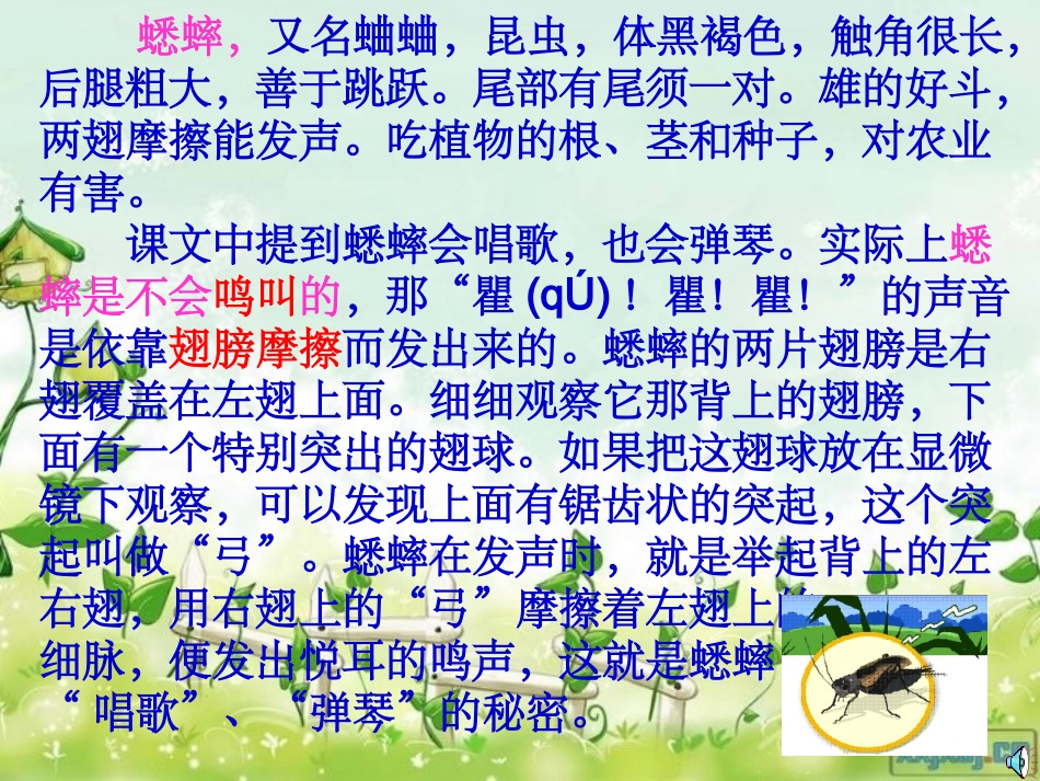 蟋蟀的住宅课件_第2页