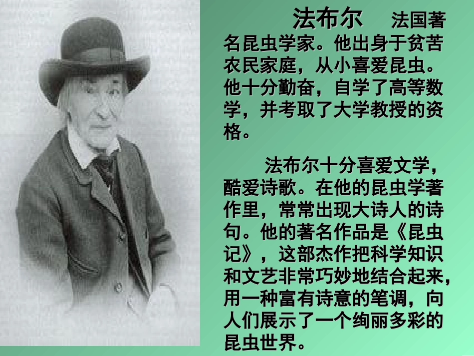 蟋蟀的住宅课件_第3页