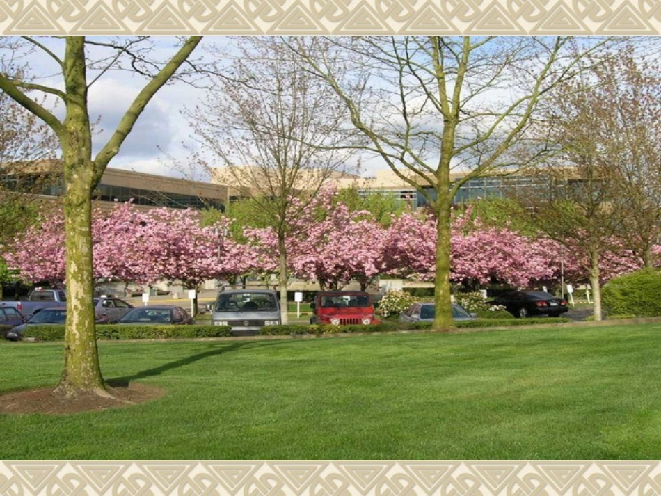 《这片土地是神圣的》课件 (3)_第2页