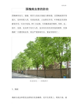 国槐的病虫害防治