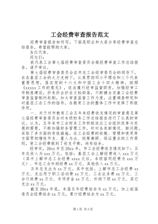 工会经费审查报告范文