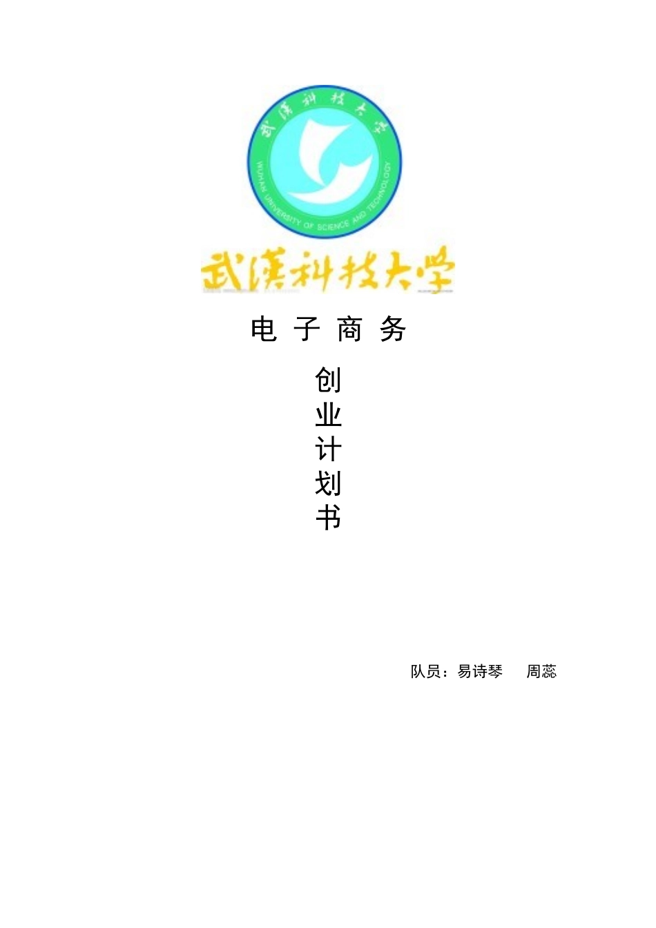 “乐淘淘”电子商务策划书_第1页