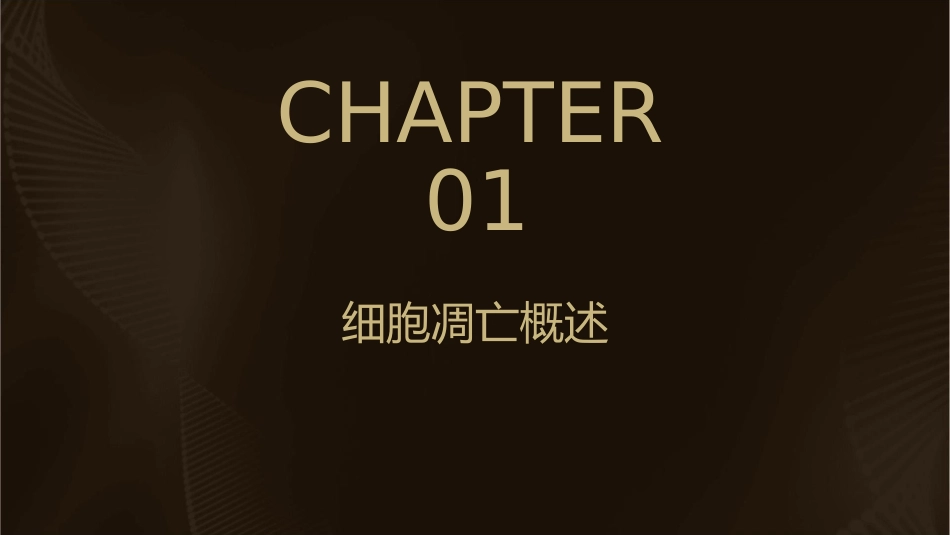 细胞凋亡分子机制护理课件_第3页