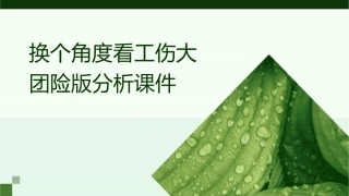 换个角度看工伤大团险版分析课件