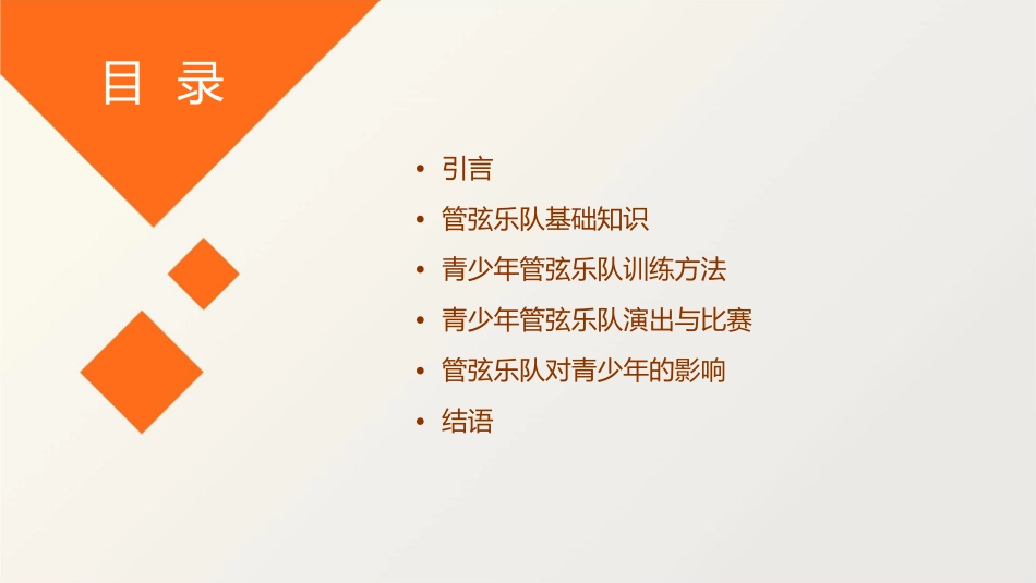 说课青少年管弦乐队指南课件_第2页