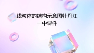 线粒体的结构示意图牡丹江一中课件