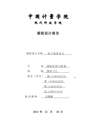 电子商务实习报告