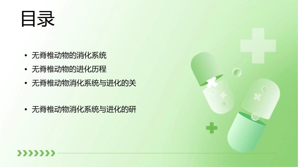 无脊椎动物的消化系统与进化课件_第2页